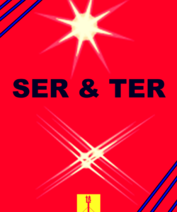 SER E TER livro
