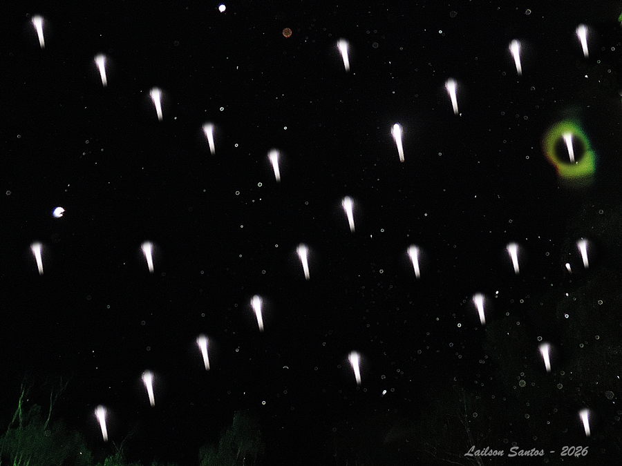 Observação 2026 - 80x90 Observação 2026 - 80x90