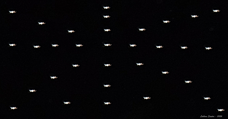 SENHOR DO BASTÃO - 80x120 SENHOR DO BASTÃO - 80x120