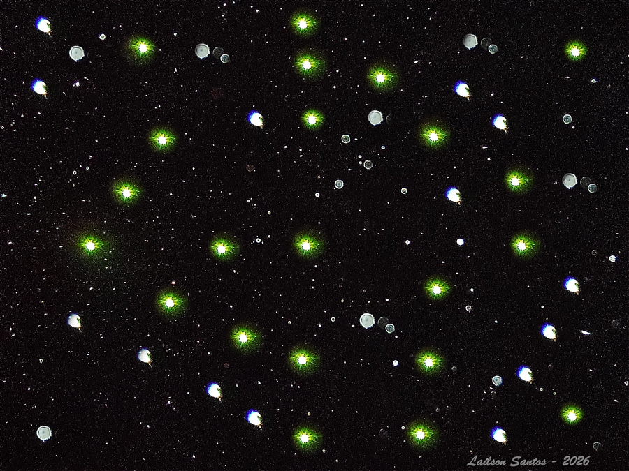 Universo verde - 90x90 - 2026 ok Universo verde - 90x90 - 2026 ok