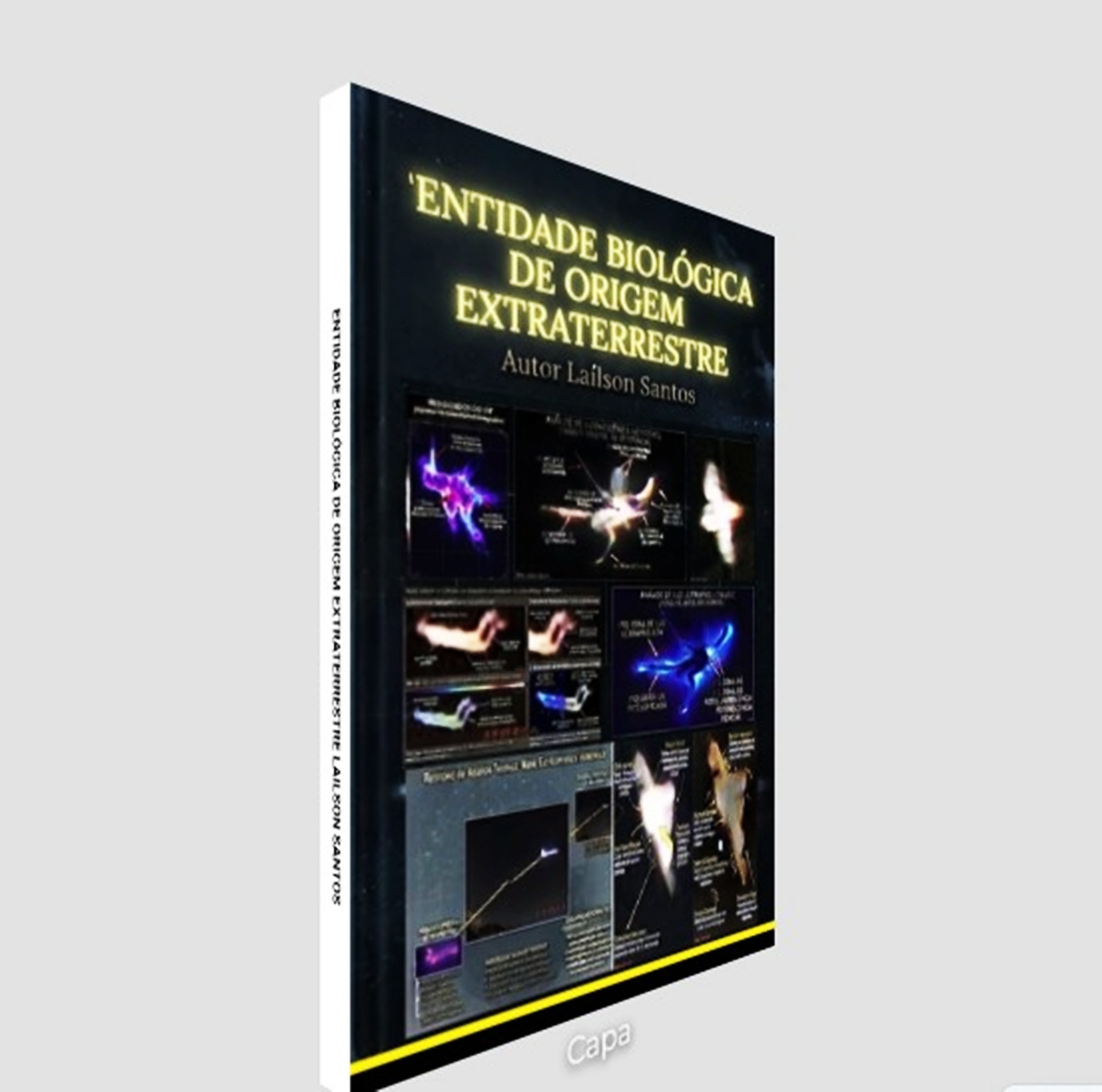entidade 002
