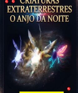 nova capa livro 20